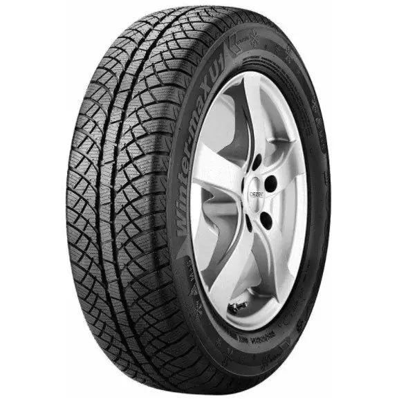 Billige Dekk Sunny Wintermax Nw611 175/70 R14 88 t Xl