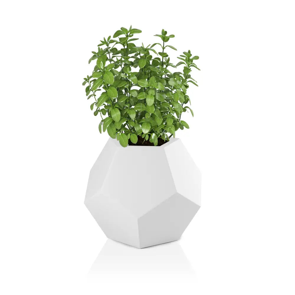 Blomsterpotte Alma Hvit (med Indre Hylle + Vann Drenering)