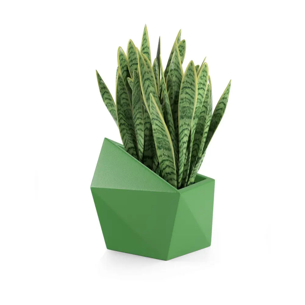 Blomsterpotte Astro Lime (full Kapasitet + Vann Drenering)
