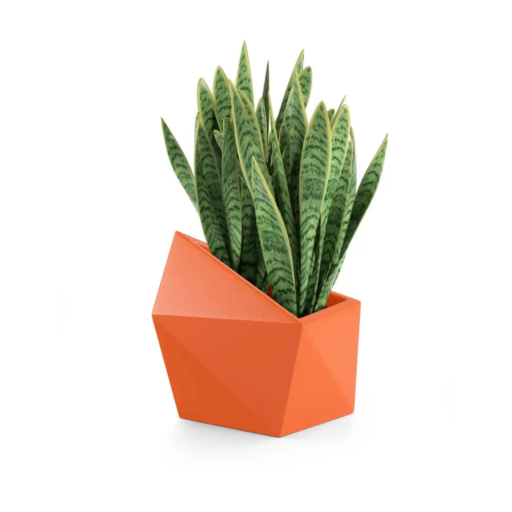 Blomsterpotte Astro Oransje (full Kapasitet + Vann Drenering)