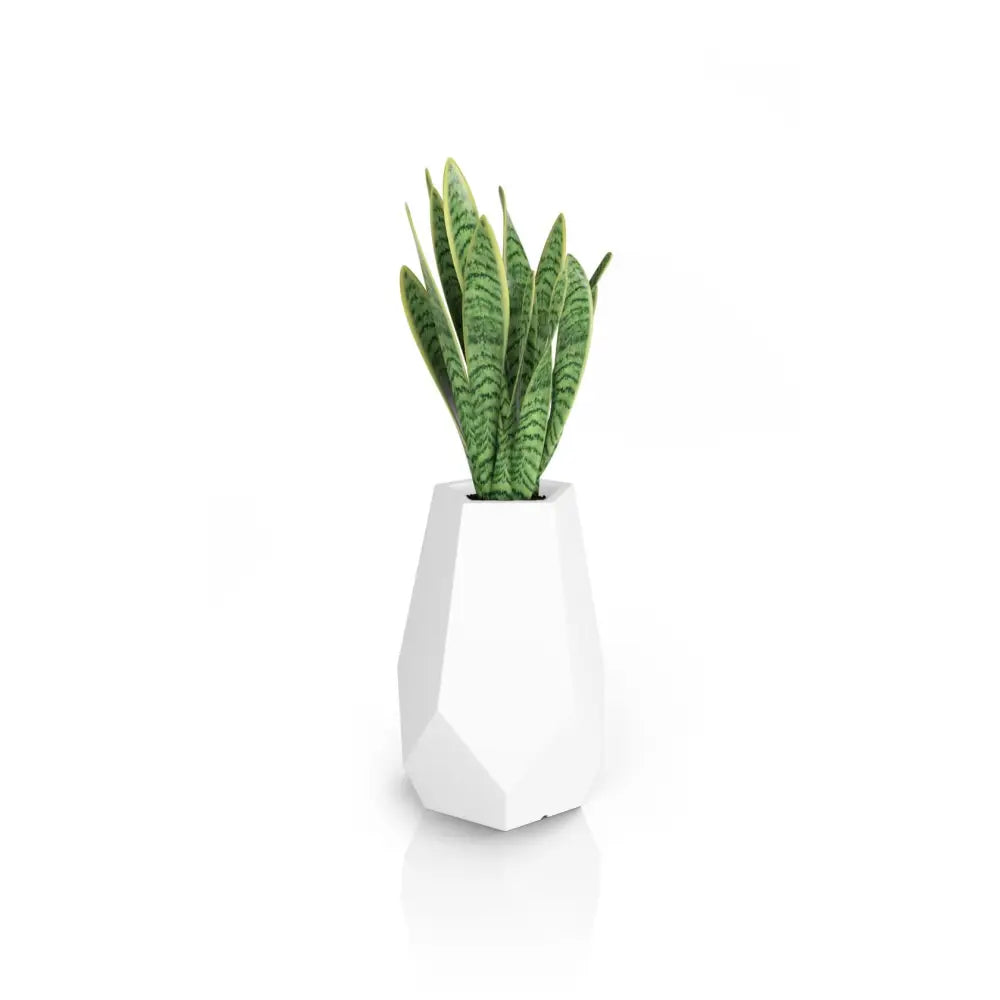 Blomsterpotte Bari Hvit (med Indre Hylle + Vann Drenering)