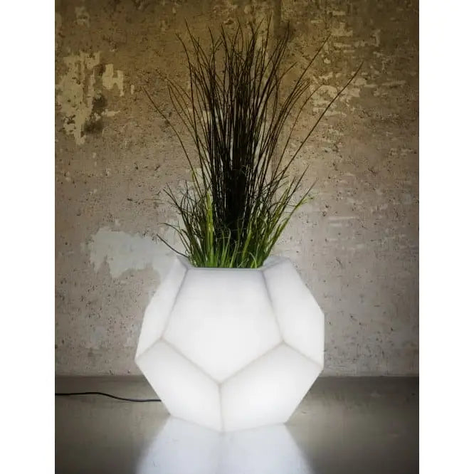 Blomsterpotte Belyst Alma Light Kaldt Lys (svart Kabel)