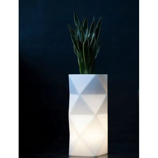 Blomsterpotte Belyst Asti Light Kaldt Lys (svart Kabel)