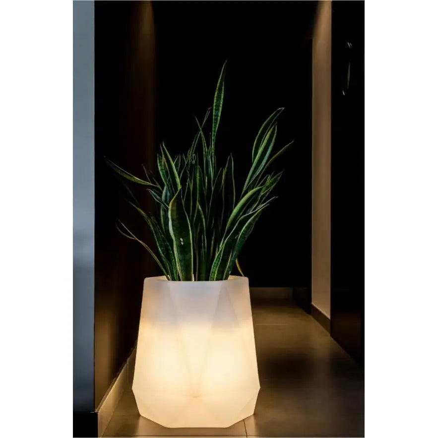 Blomsterpotte Belyst Flavi Light Kaldt Lys (svart Kabel)