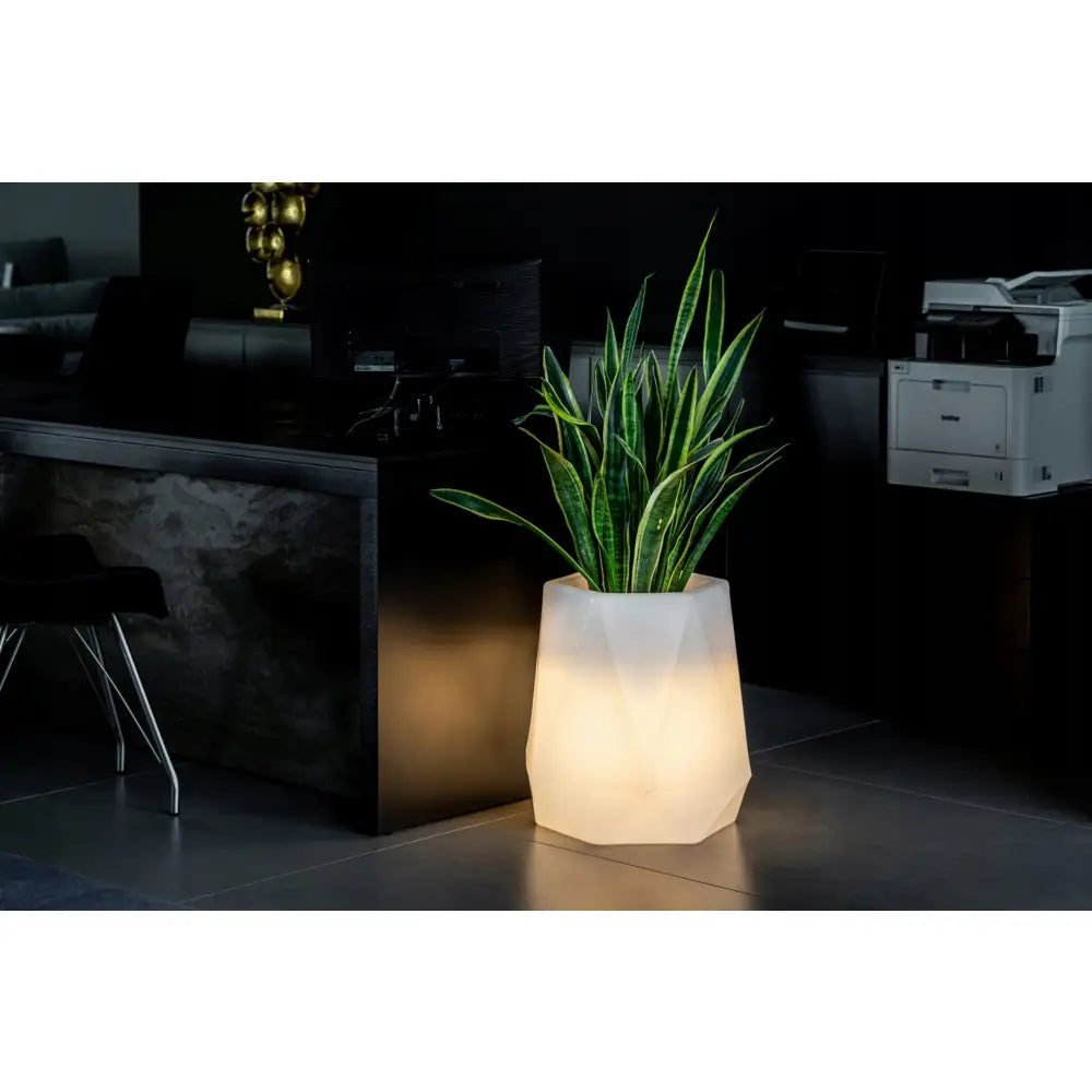 Blomsterpotte Belyst Flavi Light Kaldt Lys (svart Kabel)