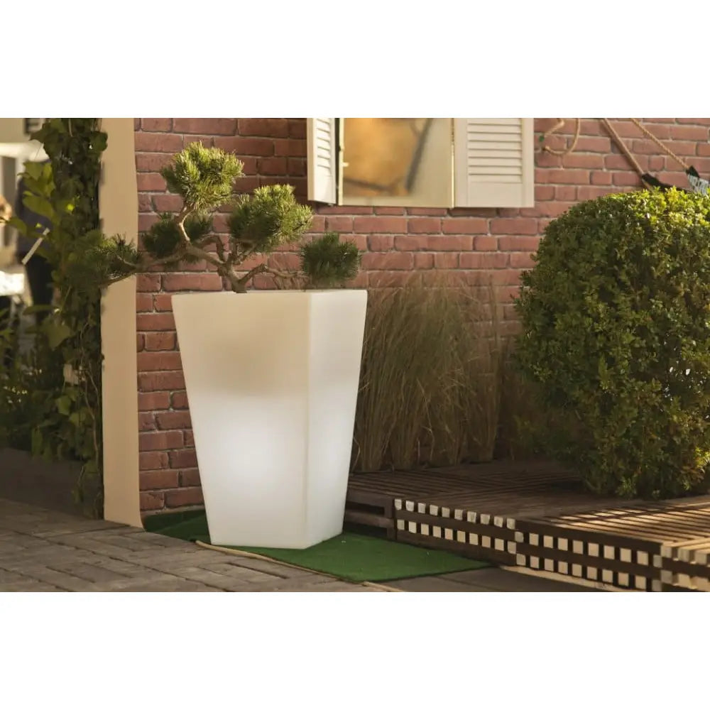 Blomsterpotte Belyst Slim Line s Light Kaldt Lys (hvit Innendørskabel)