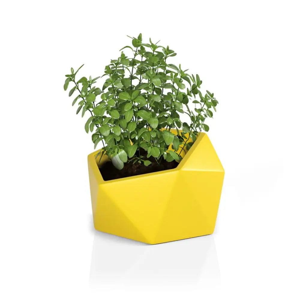 Blomsterpotte Vesari Gul (full Kapasitet + Vann Drenering)
