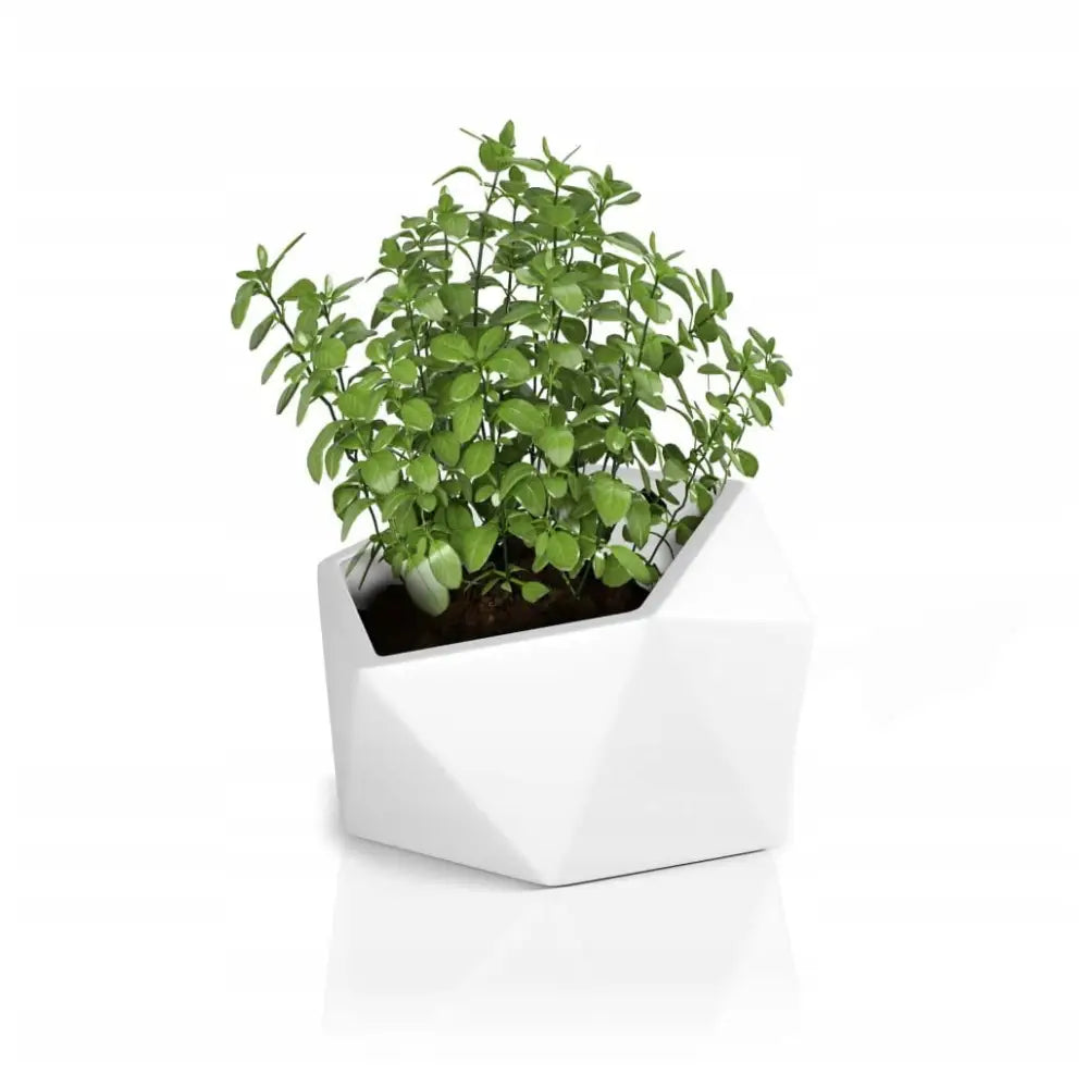 Blomsterpotte Vesari Hvit (full Kapasitet + Vann Drenering)
