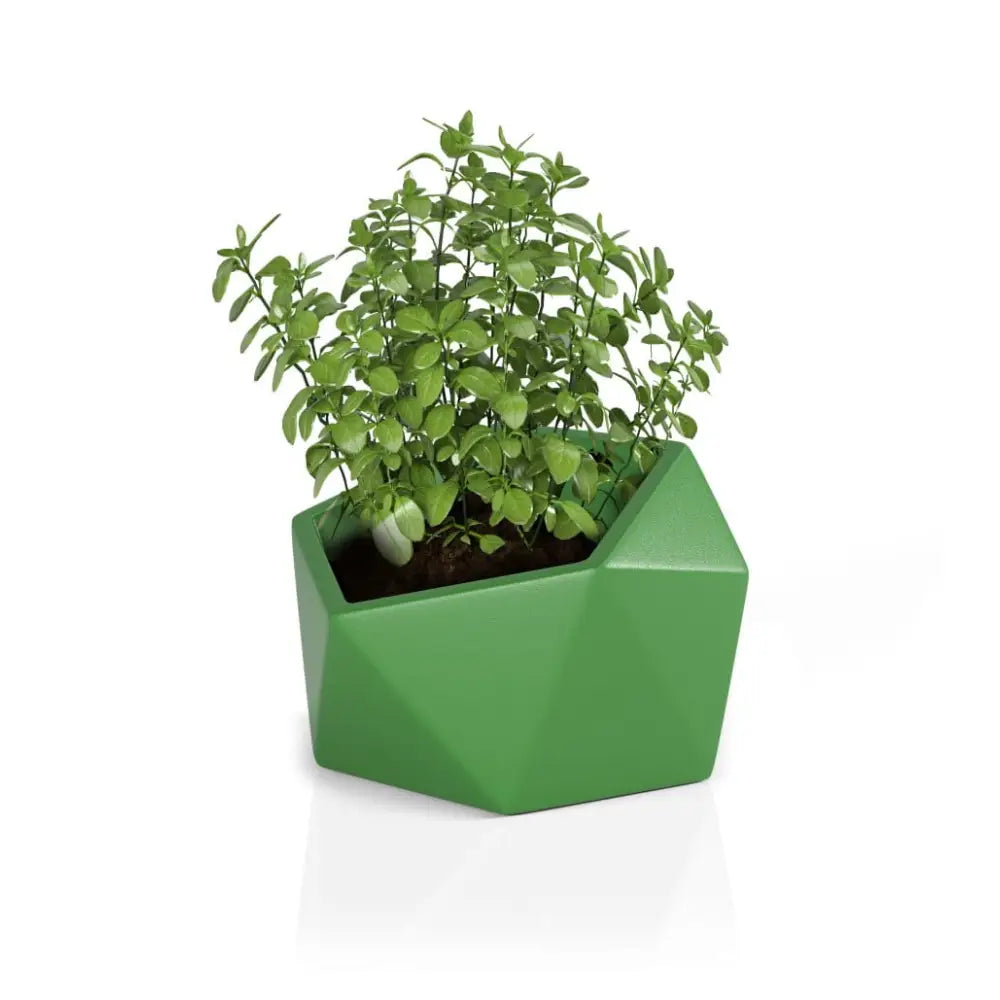 Blomsterpotte Vesari Lime (med Indre Hylle + Vann Drenering)
