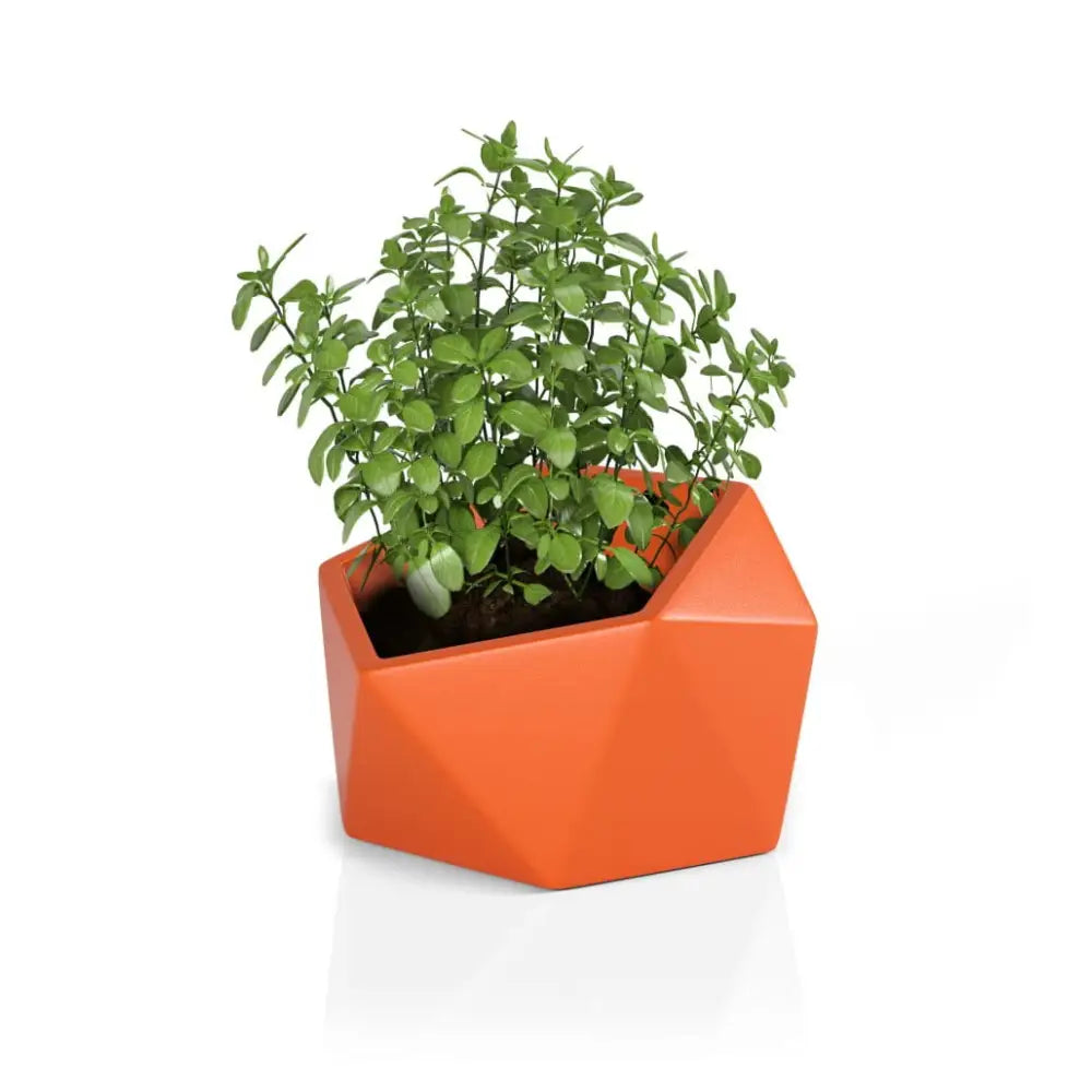 Blomsterpotte Vesari Oransje (full Kapasitet + Vann Drenering)