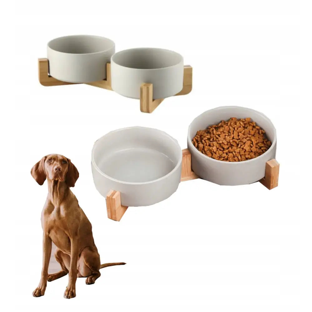 Sett med To Boller på Stativ for Hund og Katt 2x850ml