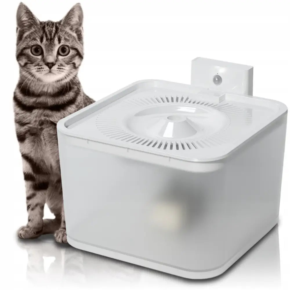 Trådløs 2,5l Drikkefontene for Katt med Bevegelsessensor og Led