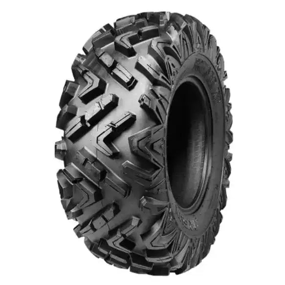 Arisun Ar69 27x9r14