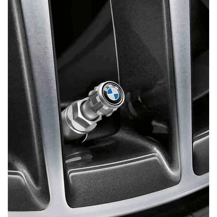 Bmw Ventilhetter Oe