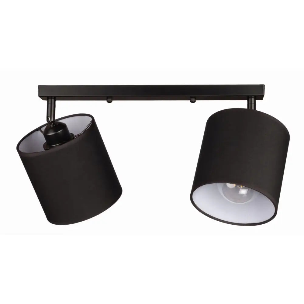 Dobbel Svart og Hvit Taklampe Rail