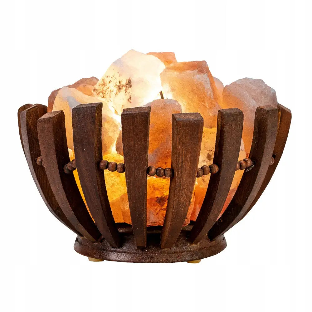 Ionisator Saltlampe Himalaya Naturlig Skål