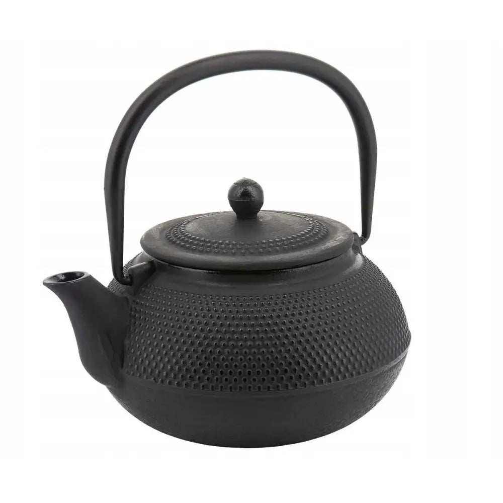 Jern Tekanne 850ml med Filter Kinghoff Kh-3331