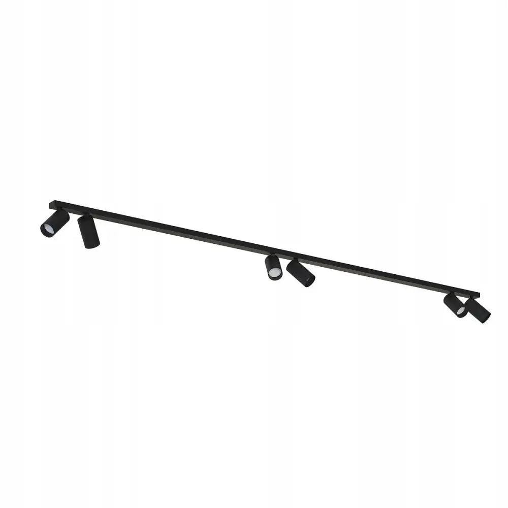 Lang Takskinne Svart 2m med Monospotlights