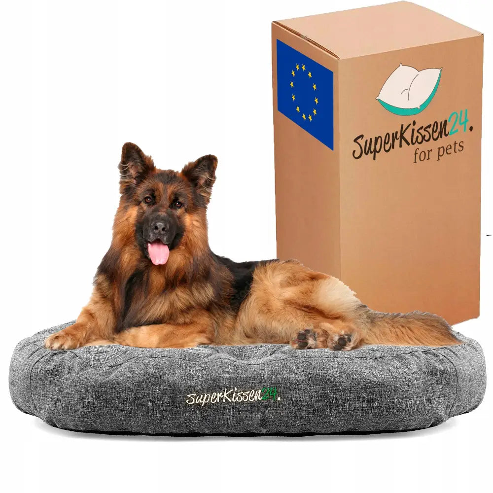 Sengepuff for Hund Katt Seng Inngjerdet Størrelse l